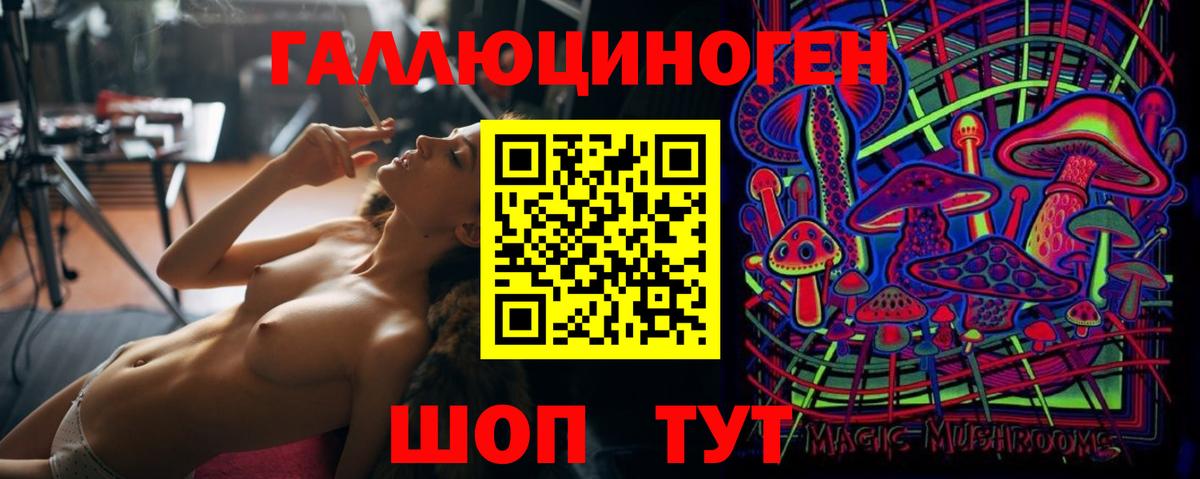Галлюциногенные грибы GOLDEN TEACHER  Вход с VPN  Абакан 