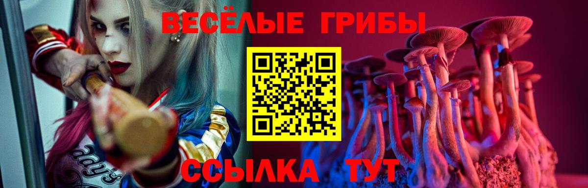 Галлюциногенные грибы ЛСД Абакан